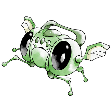 Boom Bug